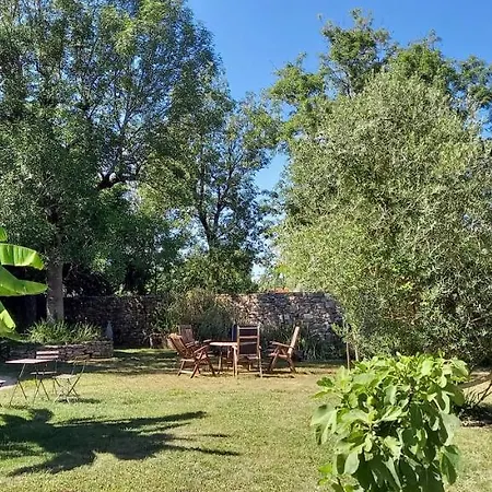 La Maisou-pastel Et Fleur Sérignac